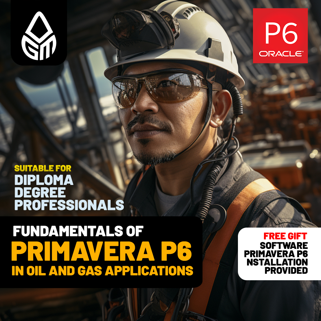 Primavera P6 Fundamentals for Oil and Gas